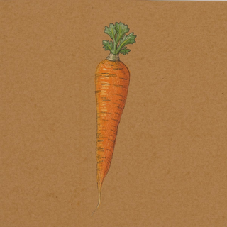 Carrots