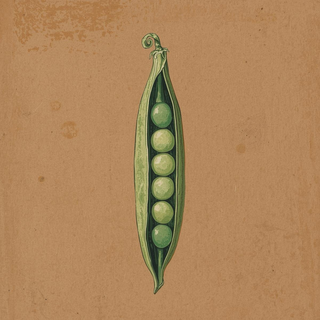 Peas