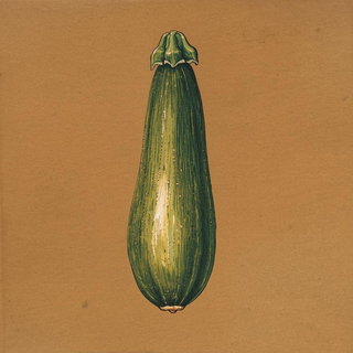 Zucchini